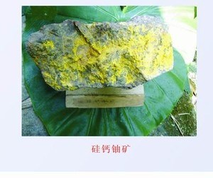 沒有離心機，第一顆原子彈的鈾從哪里來？
